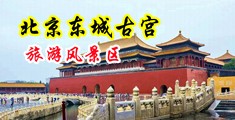 日本韩国换妻乱伦图中国北京-东城古宫旅游风景区